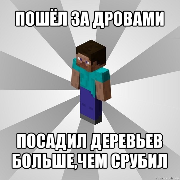 пошёл за дровами посадил деревьев больше,чем срубил, Мем Типичный игрок Minecraft