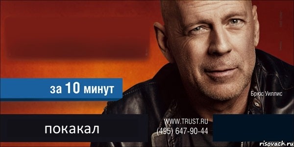   покакал , Комикс Trust