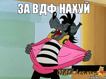 За ВДФ нахуй