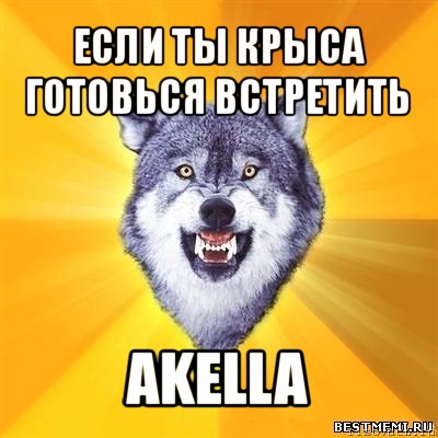 если ты крыса готовься встретить akella