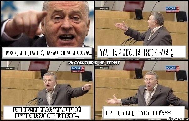 Приходишь, такой, на защиту диплома... тут Ермоленко жует, там Кручинина с Тимашевой шампанское открывают... я что, блин, в столовой???!, Комикс Жириновский