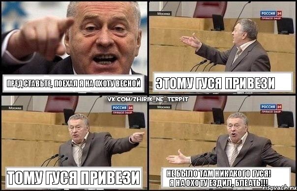 представьте, поехал я на охоту весной этому гуся привези тому гуся привези не было там никакого гуся! я на ОХОТУ ездил, блеать!!!, Комикс Жириновский