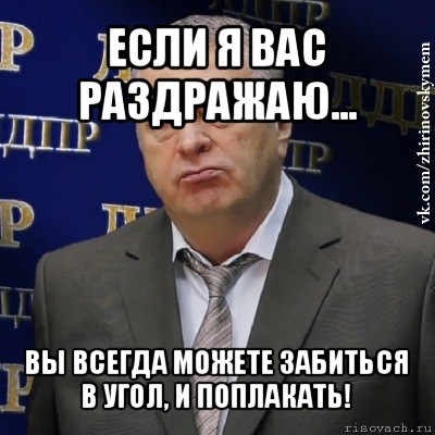 если я вас раздражаю... вы всегда можете забиться в угол, и поплакать!, Мем Хватит это терпеть (Жириновский)