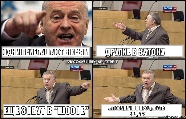 Одни приглашают в Крым Другие в Затоку Еще зовут в "Шоссе" А посуду кто продавать будет?, Комикс Жириновский