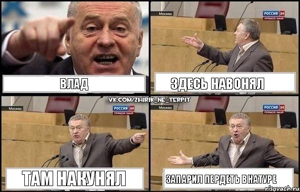 Влад здесь навонял там накунял запарил пердеть внатуре, Комикс Жириновский