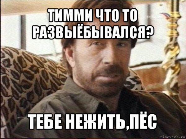 тимми что то развыёбывался? тебе нежить,пёс, Мем чак норрис