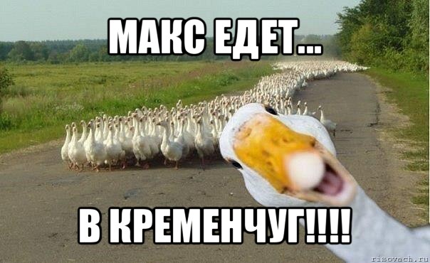 макс едет... в кременчуг!!!, Мем гуси