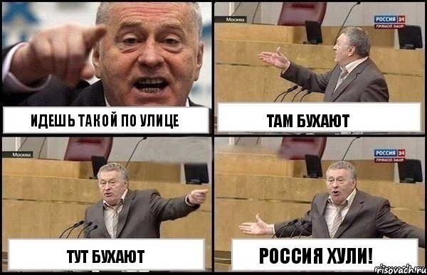 идешь такой по улице тут бухают там бухают россия хули!, Комикс Жириновский