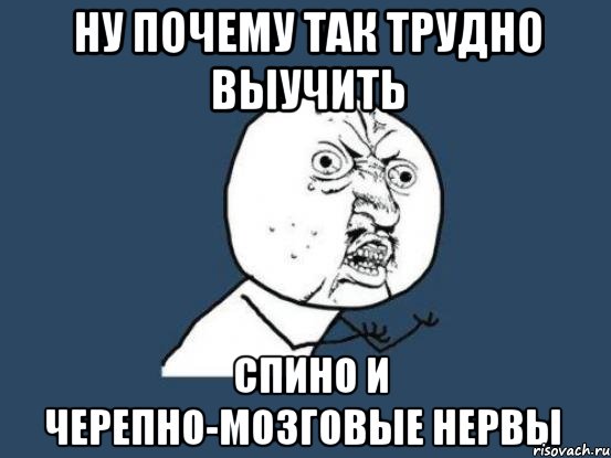 ну почему так трудно выучить спино и черепно-мозговые нервы, Мем Ну почему