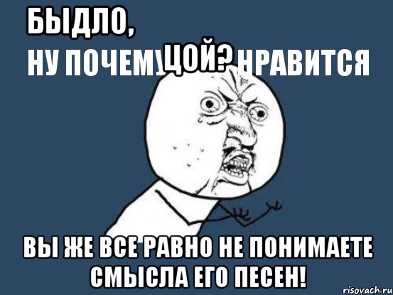 быдло,
ну почему вам нравится цой? вы же все равно не понимаете смысла его песен!, Мем Ну почему