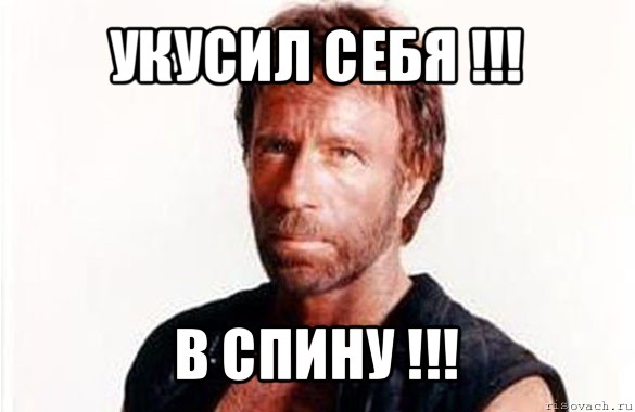 укусил себя !!! в спину !!!, Мем олдскул