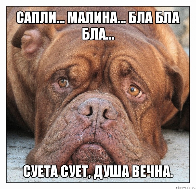 сапли... малина... бла бла бла... суета сует, душа вечна.