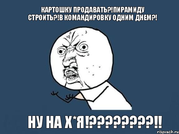 Картошку продавать?!пирамиду строить?!в командировку одним днем?! ну на Х*я!???!!