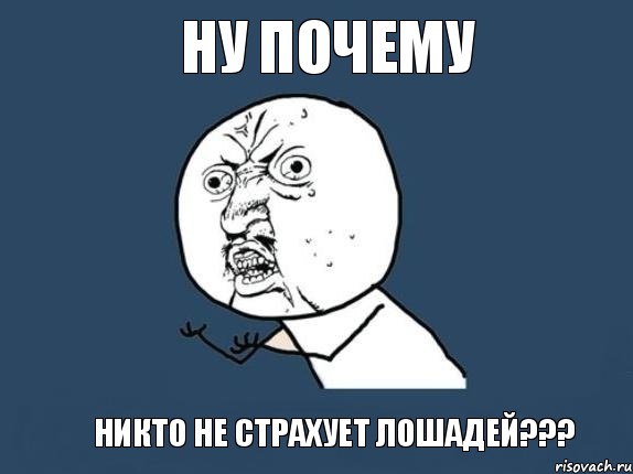 Ну почему никто не страхует лошадей???, Мем  почему мем