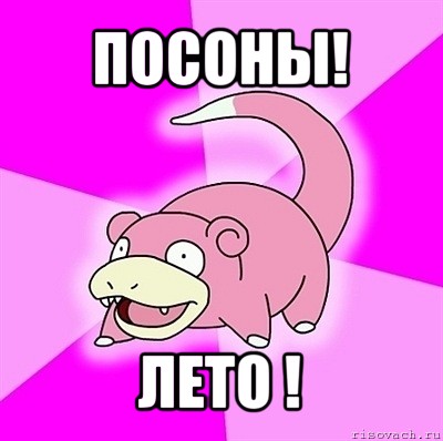 посоны! лето !, Мем слоупок