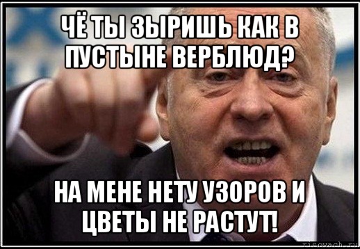 чё ты зыришь как в пустыне верблюд? на мене нету узоров и цветы не растут!, Мем жириновский ты