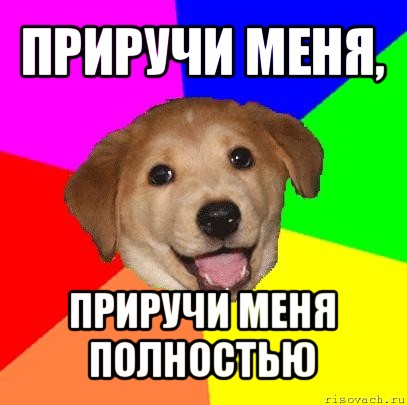 приручи меня, приручи меня полностью, Мем Advice Dog