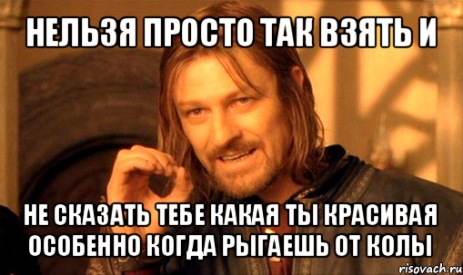 нельзя просто так взять и не сказать тебе какая ты красивая
особенно когда рыгаешь от колы, Мем Нельзя просто так взять и (Боромир мем)