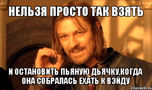 нельзя просто так взять и остановить пьяную дьячку,когда она собралась ехать к вэйду, Мем Нельзя просто так взять и (Боромир мем)