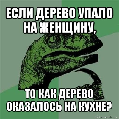 если дерево упало на женщину, то как дерево оказалось на кухне?, Мем Филосораптор