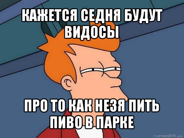 кажется седня будут видосы про то как незя пить пиво в парке, Мем  Фрай (мне кажется или)