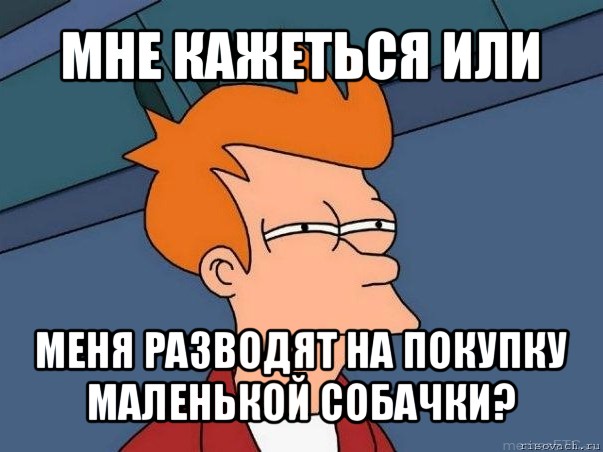 мне кажеться или меня разводят на покупку маленькой собачки?, Мем  Фрай (мне кажется или)