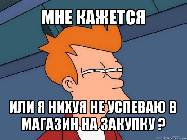 мне кажется или я нихуя не успеваю в магазин на закупку ?, Мем  Фрай (мне кажется или)