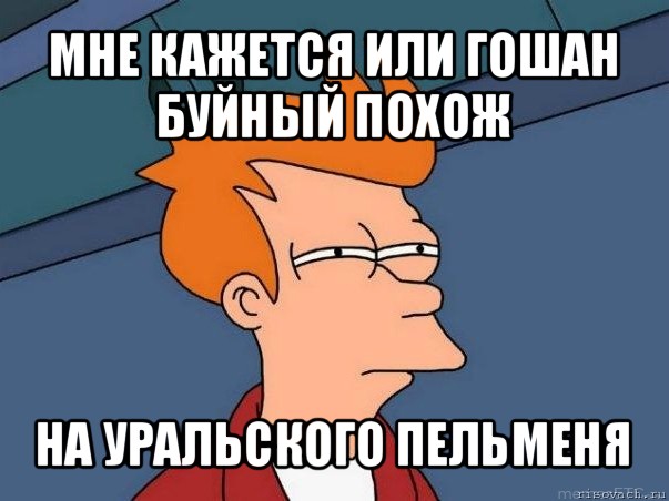 мне кажется или гошан буйный похож на уральского пельменя, Мем  Фрай (мне кажется или)