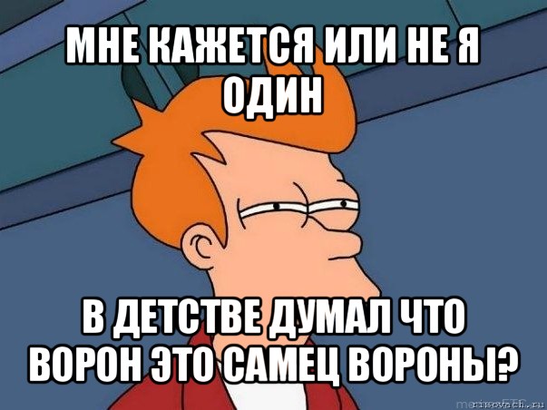 мне кажется или не я один в детстве думал что ворон это самец вороны?, Мем  Фрай (мне кажется или)