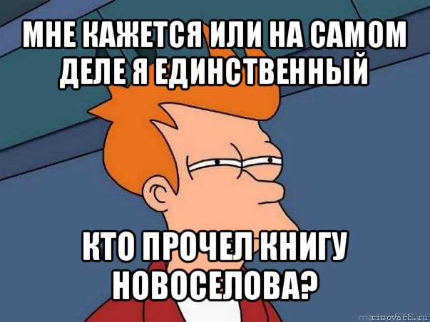 мне кажется или на самом деле я единственный кто прочел книгу новоселова?, Мем  Фрай (мне кажется или)