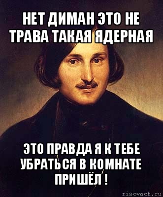 нет диман это не трава такая ядерная это правда я к тебе убраться в комнате пришёл !, Мем Гоголь