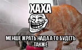 хаха менше жрать нада а то будеть также