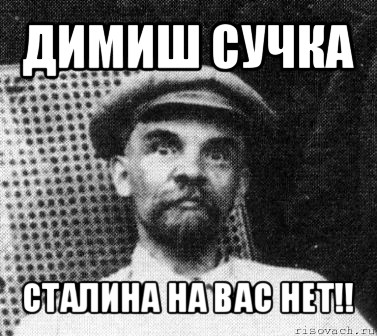 димиш сучка сталина на вас нет!!