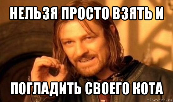 нельзя просто взять и погладить своего кота, Мем Нельзя просто так взять и (Боромир мем)