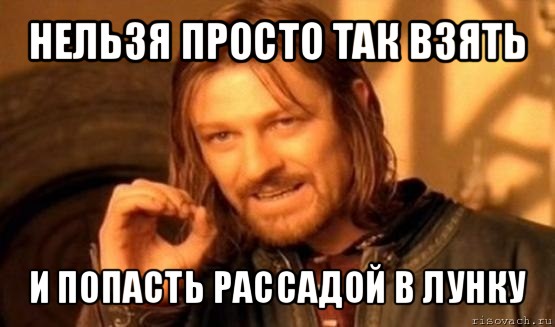 нельзя просто так взять и попасть рассадой в лунку, Мем Нельзя просто так взять и (Боромир мем)