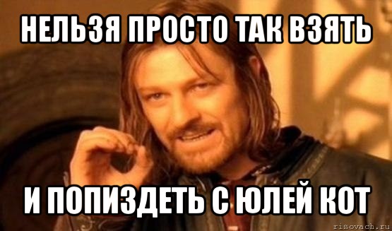 нельзя просто так взять и попиздеть с юлей кот, Мем Нельзя просто так взять и (Боромир мем)