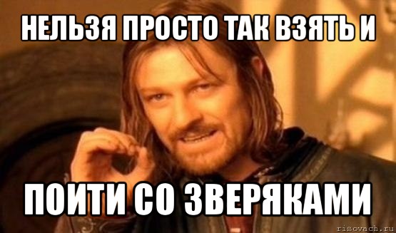 нельзя просто так взять и поити со зверяками, Мем Нельзя просто так взять и (Боромир мем)