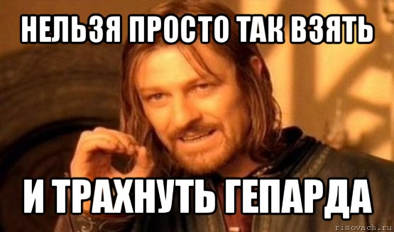 нельзя просто так взять и трахнуть гепарда, Мем Нельзя просто так взять и (Боромир мем)