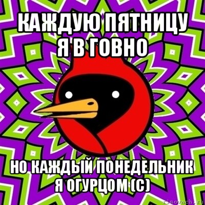 каждую пятницу я в говно но каждый понедельник я огурцом (с), Мем Омская птица