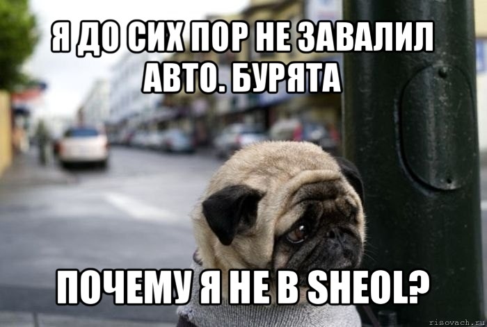 я до сих пор не завалил авто. бурята почему я не в sheol?