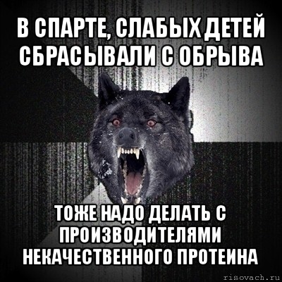 в спарте, слабых детей сбрасывали с обрыва тоже надо делать с производителями некачественного протеина, Мем Сумасшедший волк