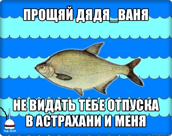 прощяй дядя_ваня не видать тебе отпуска в астрахани и меня, Мем Тупичный лещ