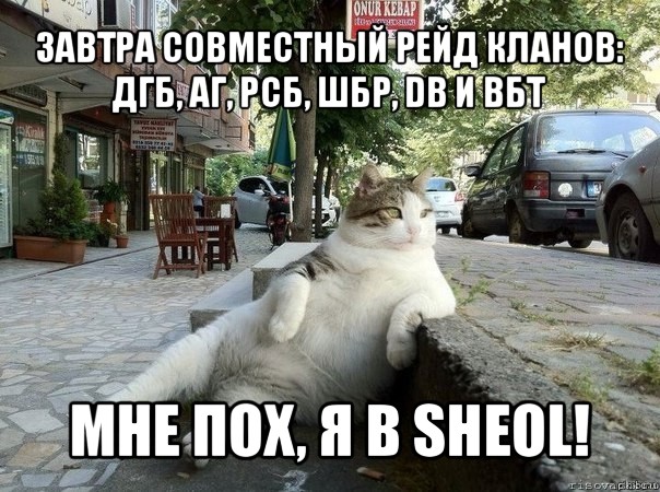 завтра совместный рейд кланов: дгб, аг, рсб, шбр, db и вбт мне пох, я в sheol!, Мем   Все пофиг