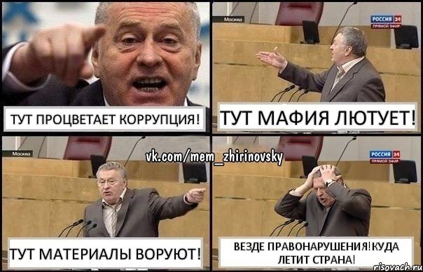 тут процветает коррупция! тут мафия лютует! тут материалы воруют! везде правонарушения!куда летит страна!, Комикс Жирик