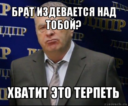 брат издевается над тобой? хватит это терпеть, Мем Хватит это терпеть (Жириновский)