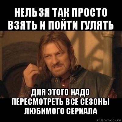 нельзя так просто взять и пойти гулять для этого надо пересмотреть все сезоны любимого сериала, Мем Нельзя просто взять