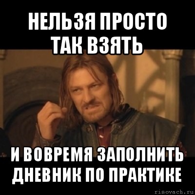 нельзя просто так взять и вовремя заполнить дневник по практике, Мем Нельзя просто взять