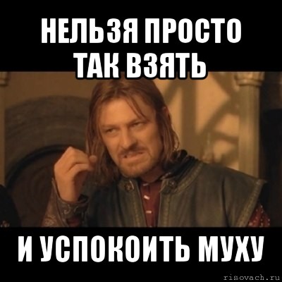 нельзя просто так взять и успокоить муху, Мем Нельзя просто взять