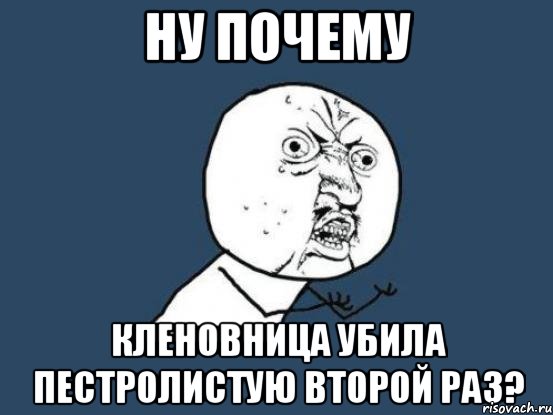 ну почему кленовница убила пестролистую второй раз?, Мем Ну почему