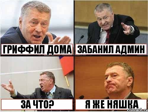  гриффил дома забанил админ за что? я же няшка